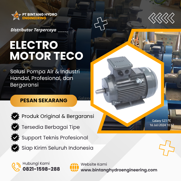 electro motor teco